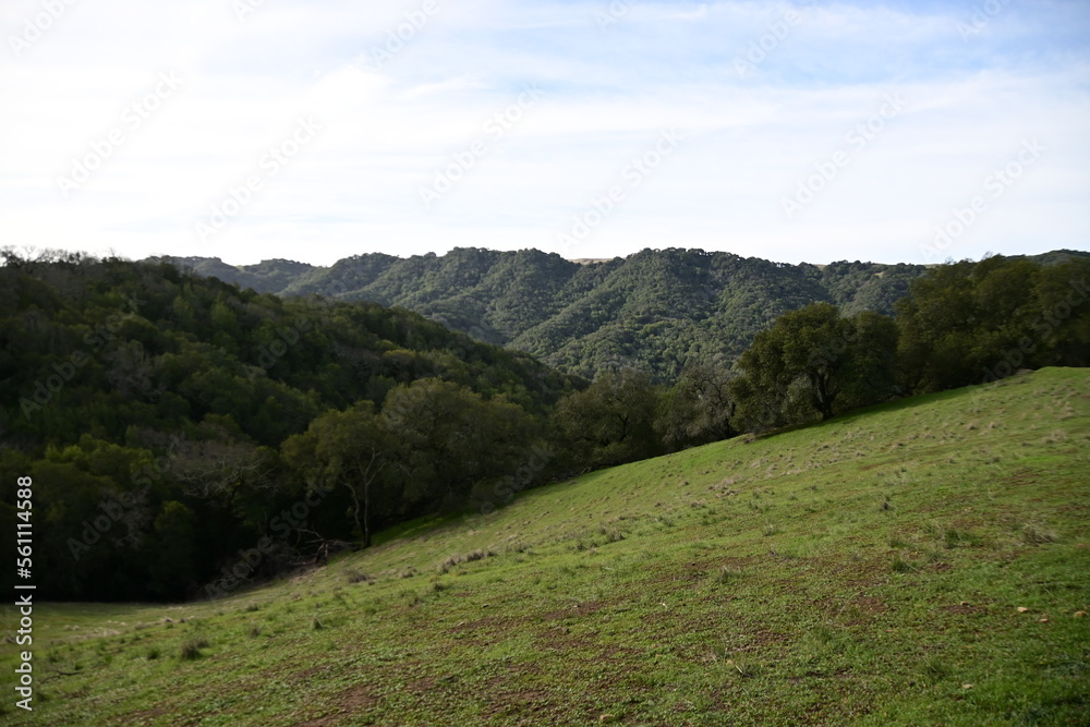 Naklejka premium landscape in the mountains