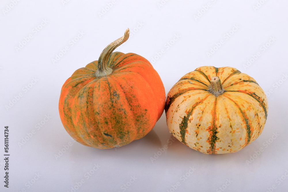 Mini Pumpkin composition.
A view on a white background.