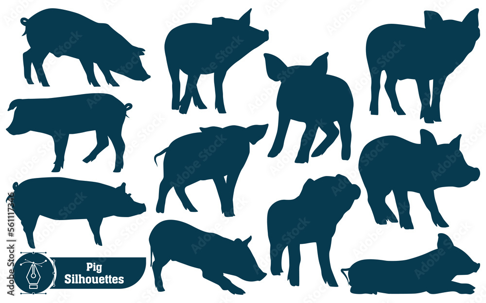 Fototapeta premium Collection of Animal Pig silhouette in different poses