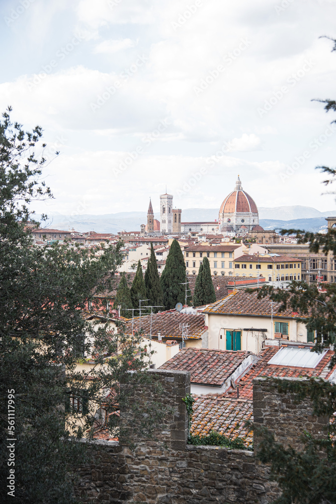 Florence view from S.Niccolò
