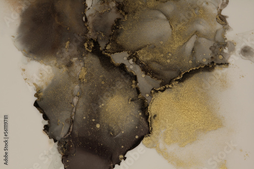 Art Abstract watercolor and alcohol ink flow blot painting. Brown, beige color with gold glitter. Canvas glow shine texture background. © Liliia