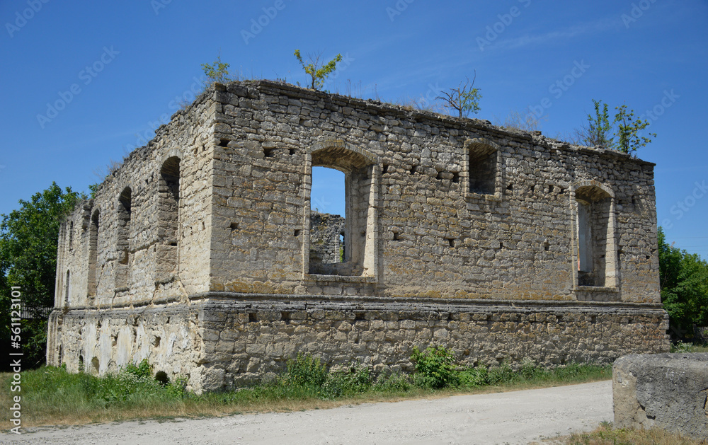 ruins of a Jewish synagogue in the Moldavian village of Rashkov. the walls and roof were overgrown with grass and shrubs. empty openings instead of windows. Holocaust and persecution of Jews