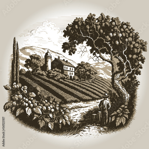 Personalized Perfection - The Beauty of Engraving Vineyards for a Label.