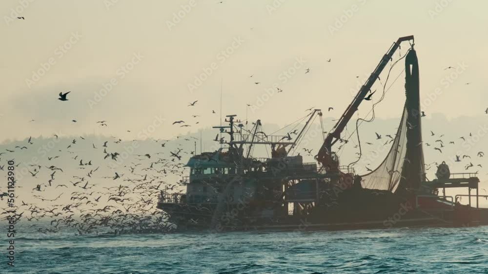 A trawler or fishing boat at sea is fishing with lots of seagulls in the sky.