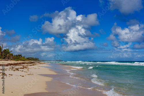 Fototapeta Naklejka Na Ścianę i Meble -  Bavaro Beach in Punta Cana