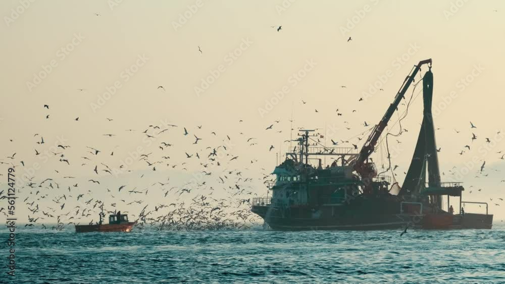 A trawler or fishing boat at sea is fishing with lots of seagulls in the sky.