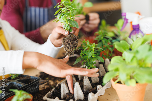 Cropped hands of biracial young woman with boyfriend planting small plants on table at home