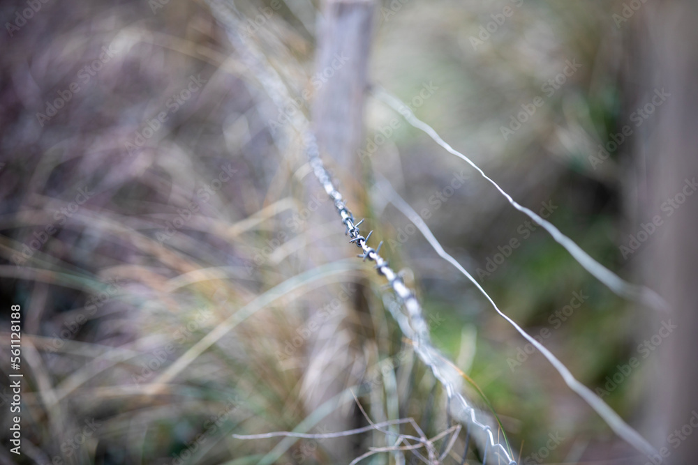 Obraz premium A barbed wire fence next to a path protecting nature.