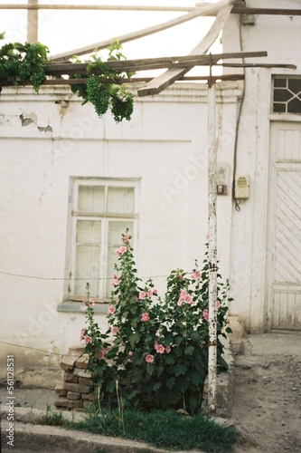 old house with flowers © Наташа Гобс