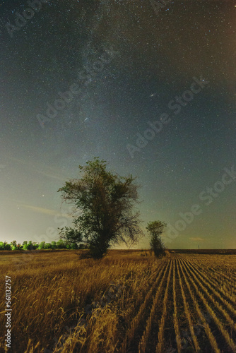 Night rural landscape