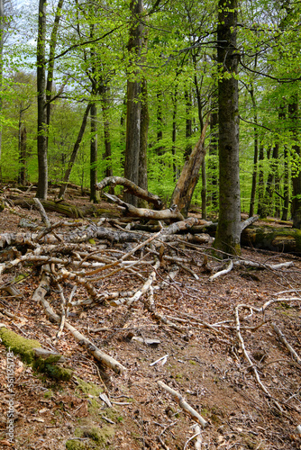 Naturschutzgebiet Rohrberg im Naturpark Spessart, Landkreis Aschaffenburg, Unterfranken, Franken, Bayern, Deutschland