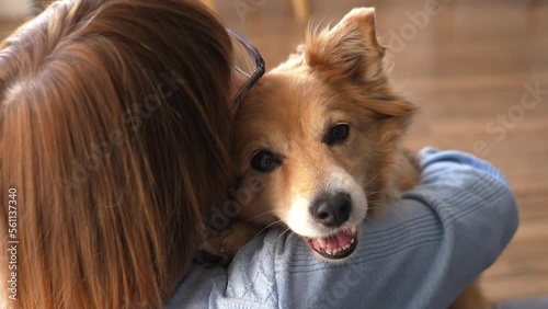 A woman hugs her cute red dog view from the back. The concept of lonely old age and friendship with animals.