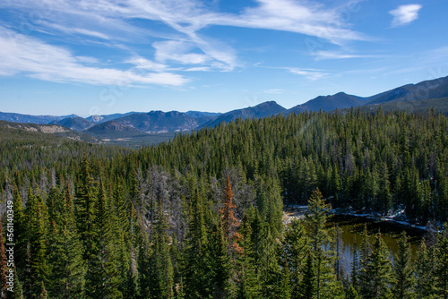 Rocky Mountain Forest Views © Strong with Purpose