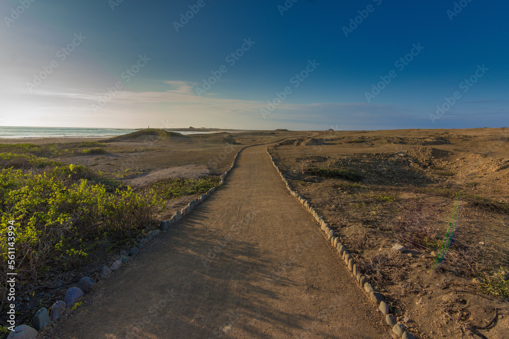 road to the sea