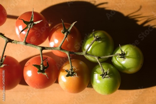 A row of small colorful tomatoes at different stages of ripeness.