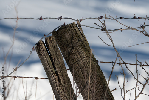 Old dilapidated barbed wire attached to a weathered locust fence post surrounded by winter twigs on an abandoned farm