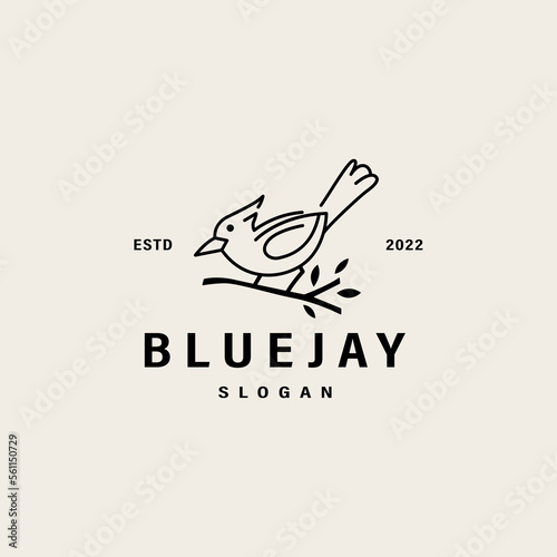 vintage Blue jay bird vector icon illustration logo design 2
