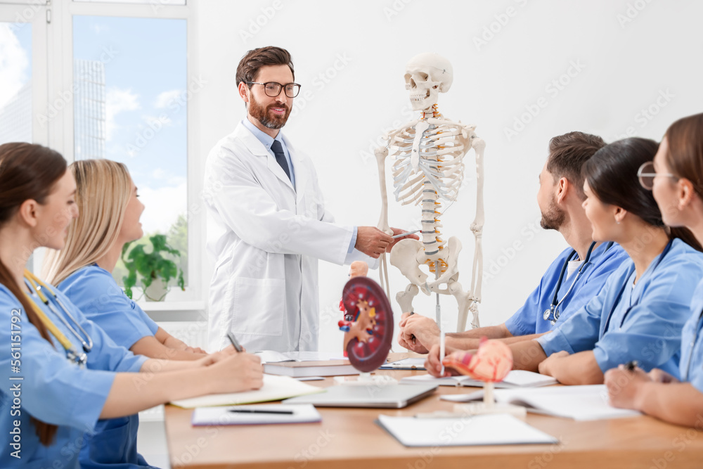 Fototapeta premium Doctor giving lecture for interns in university