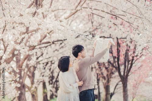 桜と赤ちゃんを待つ夫婦 