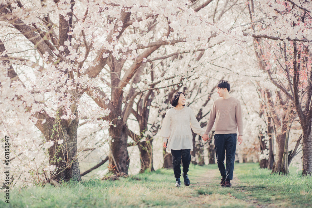 桜の中を歩く夫婦