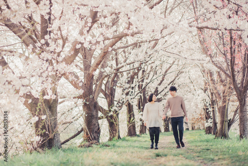 桜の中を歩く夫婦 © Kobayanski