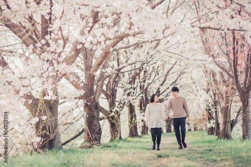 桜の中を歩く夫婦