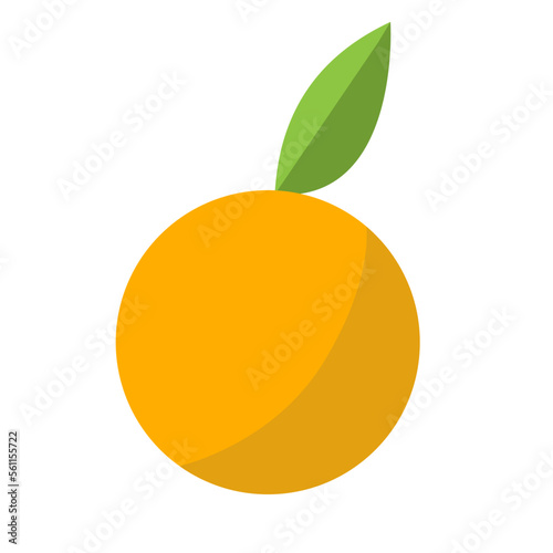 illustration of orange fruit