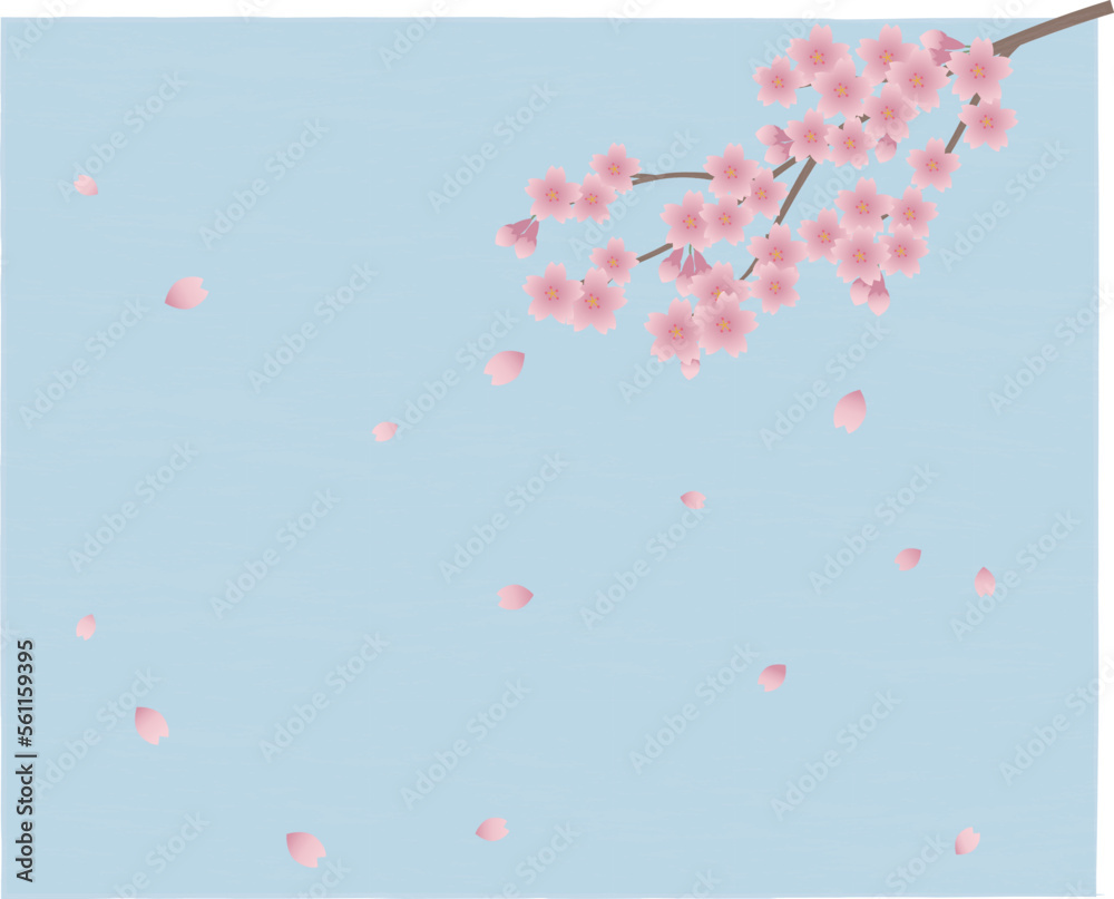 桜の花の背景 桜の花の背景