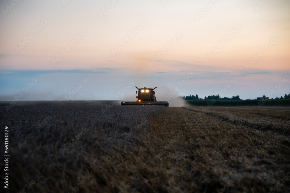 grain harvester working in the field, wheat harvest, harvester at harvest time, wheat harvester at sunset