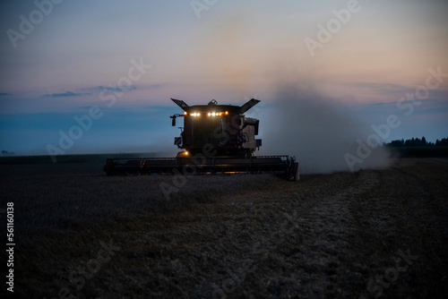 grain harvester working in the field  wheat harvest  harvester at harvest time  wheat harvester at sunset