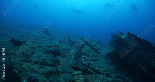 Wallpaper Mural underwater topography  scenery sun beams rays and reflections and fish around mediterranean sea Torontodigital.ca