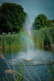 fountain in a pond with a rainbow going through it