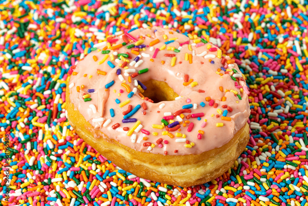 Donut with Sprinkles Donut with Sprinkles