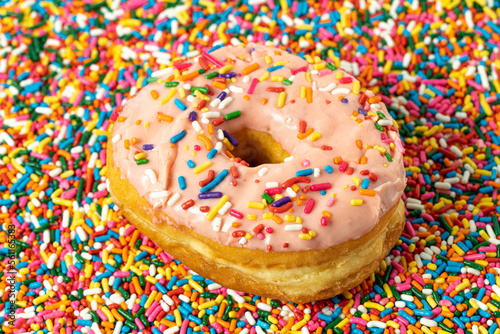 Donut with Sprinkles 
