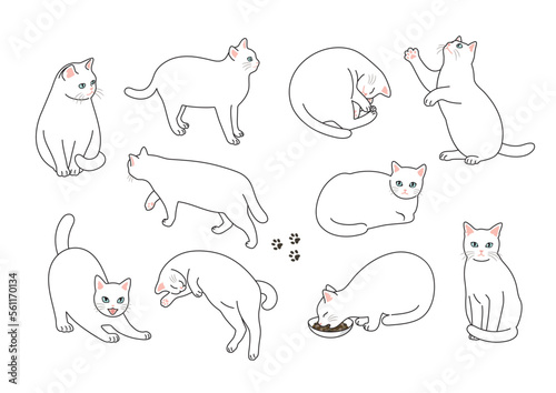 白猫のいろいろなポーズのイラスト素材
