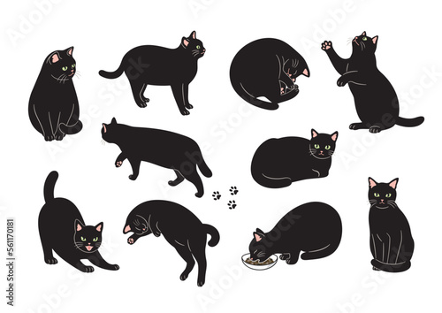 Print op canvas 黒猫のいろいろなポーズのイラスト素材