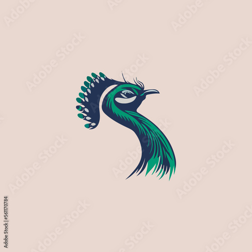 blue elegant peacock icon in isolated background