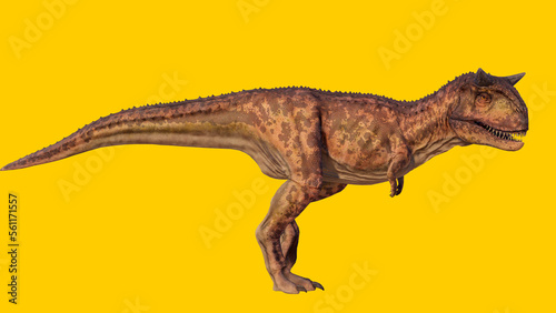 Carnotaurus dinosaur roaring © akiratrang