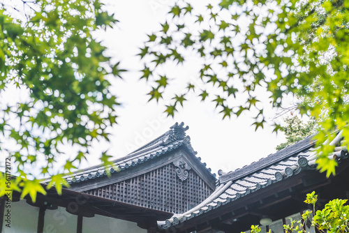 日本の伝統的な建物と木々