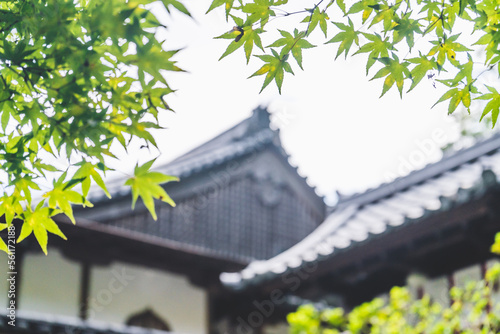 日本の伝統的な建物と木々