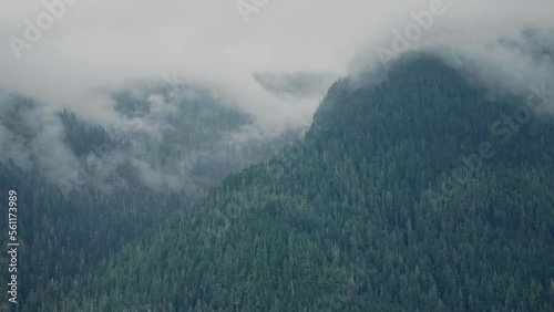 alaska ocean shoreline