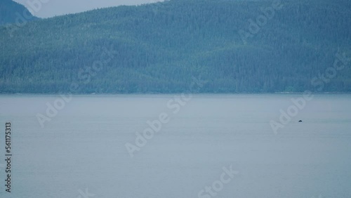 alaska ocean shoreline