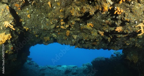  underwater ocean scenery blue water colorful walls axinella sponges bodrum turkey photo