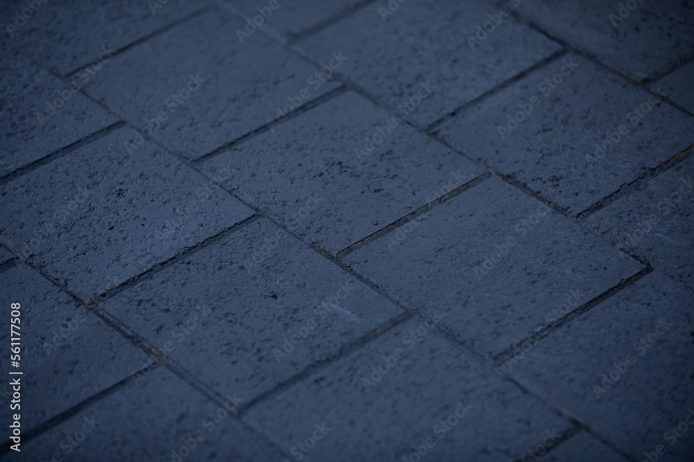 Fototapeta premium Paver Texture