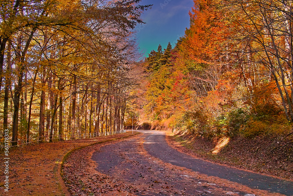 Obraz premium 日本の秋の風景（山形県）