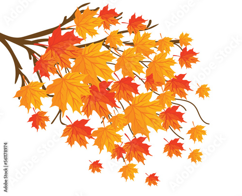 Fall tree branch vector