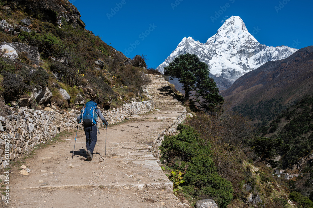 Rear view of tourist trekking in Sagarmatha national park, Nepal with beautiful view of Mt.Ama Dablam (6,812 m).