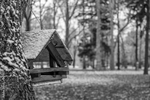 Image of a birdhouse in a winter park.