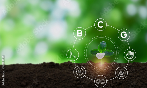 Bio-Circular-Green Economy (BCG) model. Strategy for the sustainability of economy, society and environment. Sustainable development, economy model, BCG model concept. BCG icons on green nature view. photo