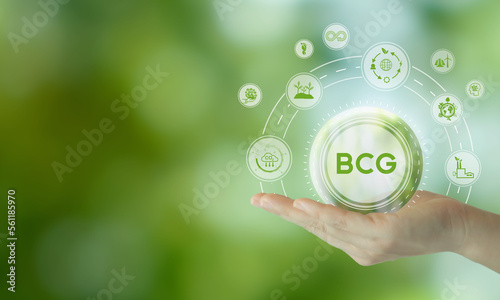 Bio-Circular-Green Economy (BCG) model. Strategy for the sustainability of economy, society and environment. Sustainable development, economy model, BCG model concept. BCG icons on green nature view. photo